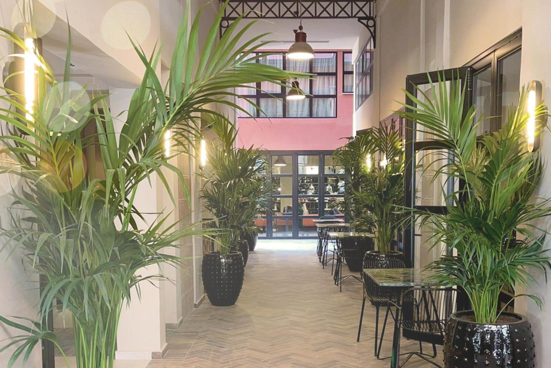 Anise, Aluma Hotels & Resorts Atene Esterno foto